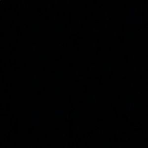 Meet your Posher, Trevor